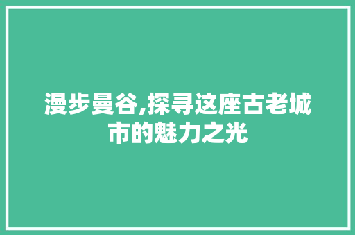 漫步曼谷,探寻这座古老城市的魅力之光