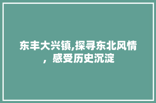 东丰大兴镇,探寻东北风情，感受历史沉淀