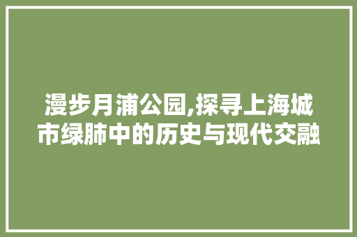 漫步月浦公园,探寻上海城市绿肺中的历史与现代交融