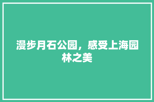 漫步月石公园，感受上海园林之美