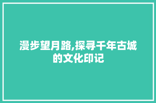 漫步望月路,探寻千年古城的文化印记