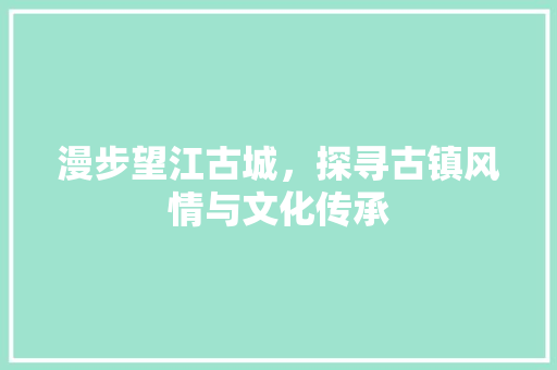 漫步望江古城，探寻古镇风情与文化传承