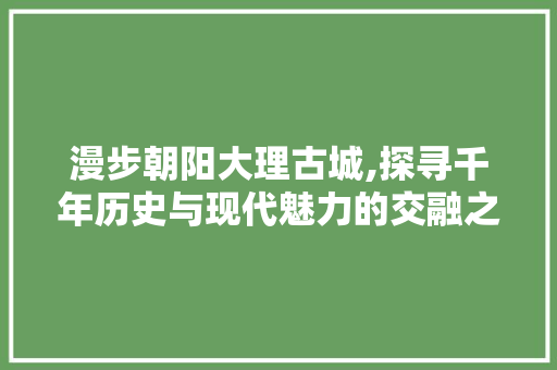 漫步朝阳大理古城,探寻千年历史与现代魅力的交融之地