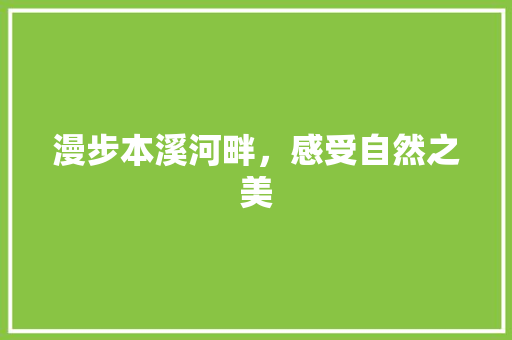 漫步本溪河畔，感受自然之美