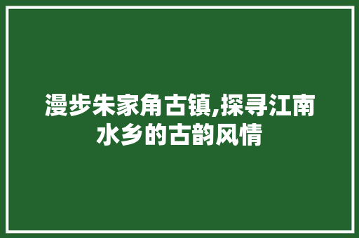 漫步朱家角古镇,探寻江南水乡的古韵风情