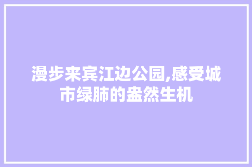 漫步来宾江边公园,感受城市绿肺的盎然生机