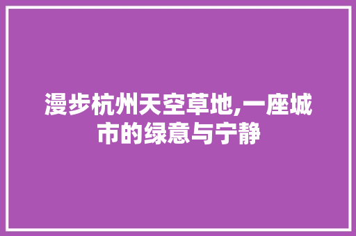 漫步杭州天空草地,一座城市的绿意与宁静