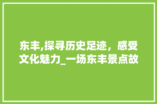 东丰,探寻历史足迹，感受文化魅力_一场东丰景点故事的视听盛宴