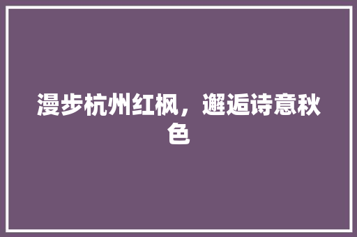 漫步杭州红枫，邂逅诗意秋色