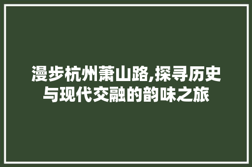 漫步杭州萧山路,探寻历史与现代交融的韵味之旅