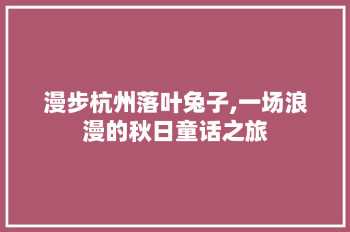 漫步杭州落叶兔子,一场浪漫的秋日童话之旅