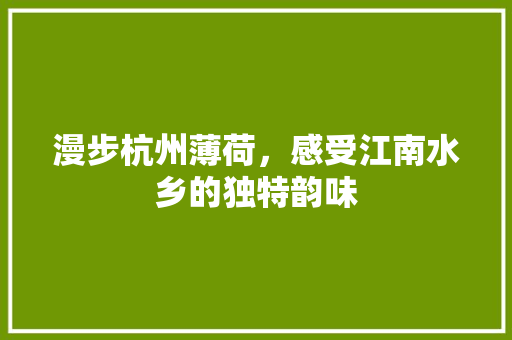 漫步杭州薄荷，感受江南水乡的独特韵味