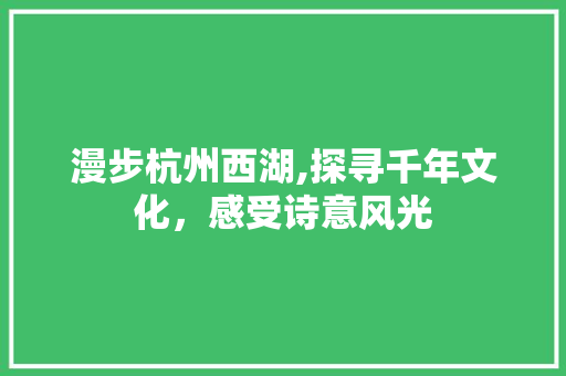 漫步杭州西湖,探寻千年文化，感受诗意风光