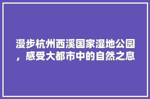 漫步杭州西溪国家湿地公园，感受大都市中的自然之息