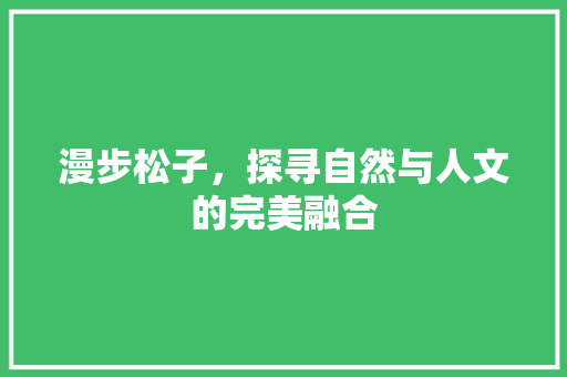 漫步松子，探寻自然与人文的完美融合  第1张