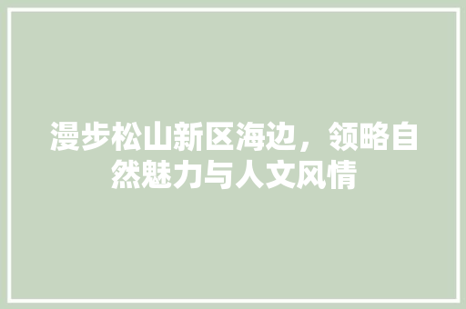 漫步松山新区海边，领略自然魅力与人文风情