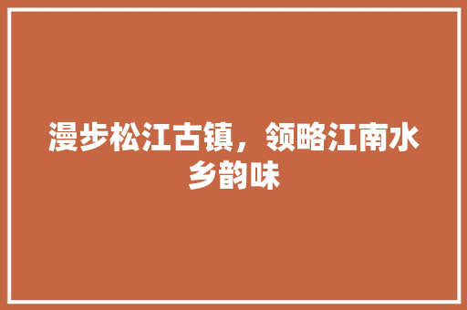 漫步松江古镇，领略江南水乡韵味