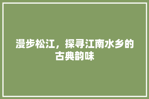 漫步松江，探寻江南水乡的古典韵味