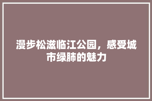 漫步松滋临江公园，感受城市绿肺的魅力