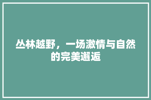 丛林越野，一场激情与自然的完美邂逅