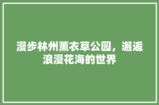 漫步林州薰衣草公园，邂逅浪漫花海的世界