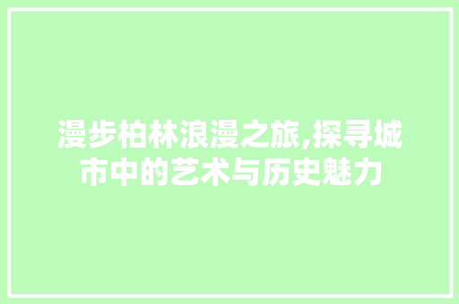 漫步柏林浪漫之旅,探寻城市中的艺术与历史魅力