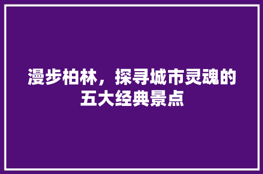 漫步柏林，探寻城市灵魂的五大经典景点  第1张