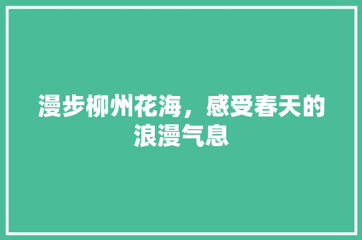 漫步柳州花海，感受春天的浪漫气息  第1张