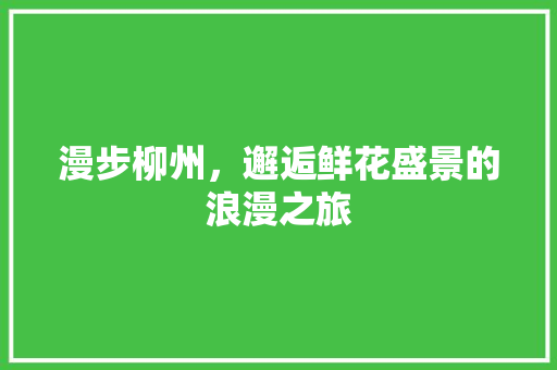 漫步柳州，邂逅鲜花盛景的浪漫之旅