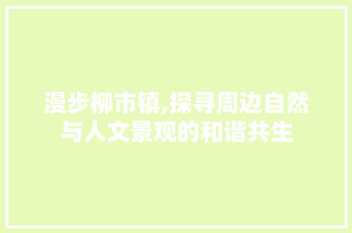 漫步柳市镇,探寻周边自然与人文景观的和谐共生