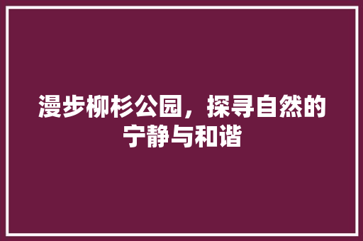 漫步柳杉公园，探寻自然的宁静与和谐