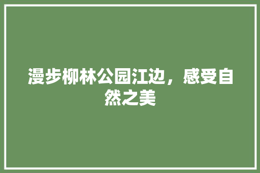 漫步柳林公园江边，感受自然之美