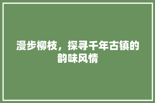 漫步柳枝，探寻千年古镇的韵味风情