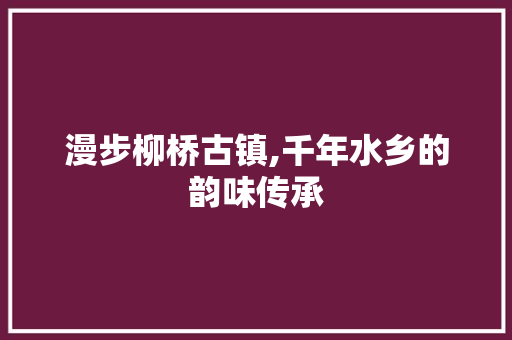 漫步柳桥古镇,千年水乡的韵味传承