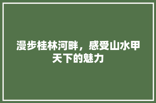 漫步桂林河畔，感受山水甲天下的魅力