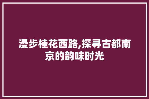 漫步桂花西路,探寻古都南京的韵味时光