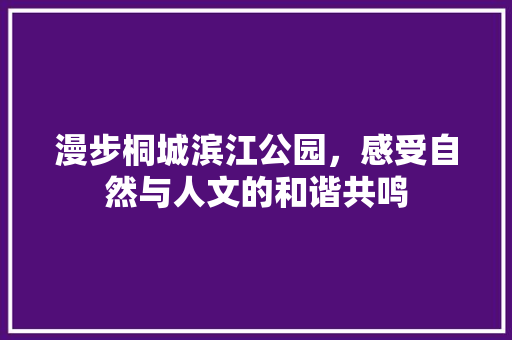 漫步桐城滨江公园，感受自然与人文的和谐共鸣