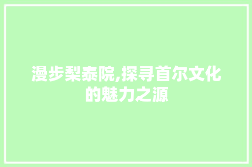 漫步梨泰院,探寻首尔文化的魅力之源