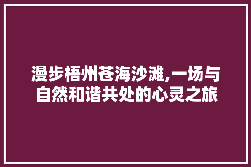 漫步梧州苍海沙滩,一场与自然和谐共处的心灵之旅