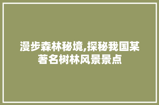 漫步森林秘境,探秘我国某著名树林风景景点