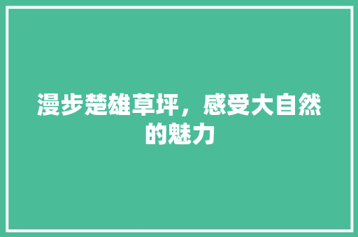 漫步楚雄草坪，感受大自然的魅力