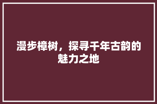 漫步樟树，探寻千年古韵的魅力之地