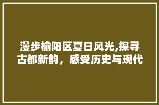 漫步榆阳区夏日风光,探寻古都新韵，感受历史与现代的交融