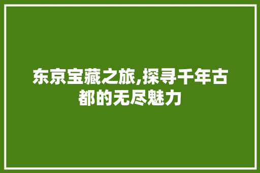 东京宝藏之旅,探寻千年古都的无尽魅力