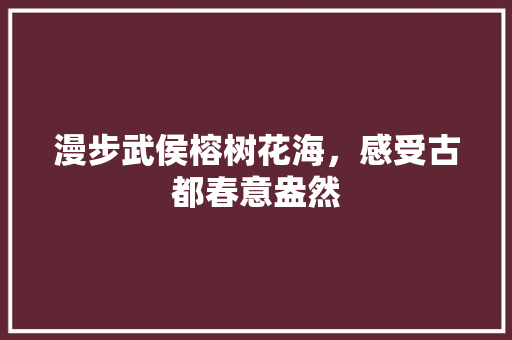 漫步武侯榕树花海，感受古都春意盎然