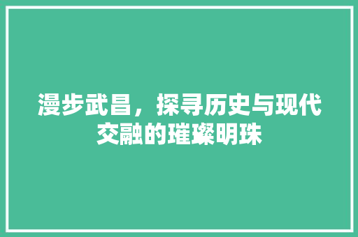 漫步武昌，探寻历史与现代交融的璀璨明珠