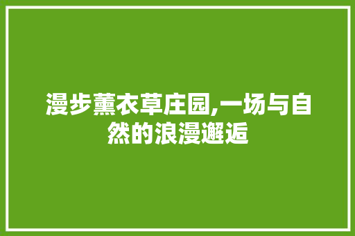 漫步薰衣草庄园,一场与自然的浪漫邂逅  第1张