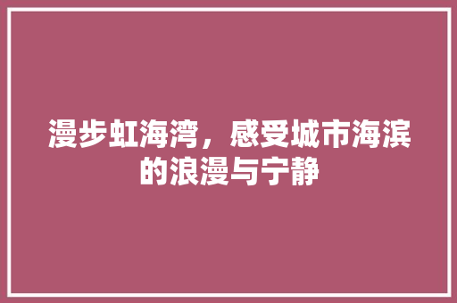 漫步虹海湾，感受城市海滨的浪漫与宁静