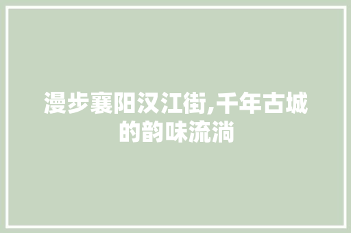 漫步襄阳汉江街,千年古城的韵味流淌