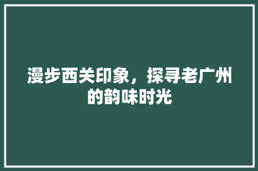 漫步西关印象，探寻老广州的韵味时光